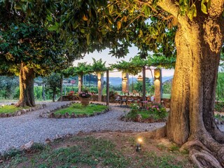 Villa Lucca Registrazione all'aperto 14