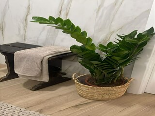 Apartment Torres Novas  37