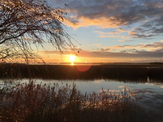 Bodden