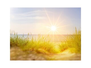Ferienwohnung Deichblick Zingst Strand