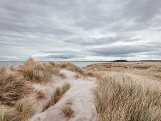 Ferienwohnung Deichblick Zingst