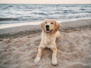 Ferienwohnung Deichblick Zingst