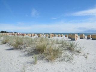 Ferienwohnung Deichblick Zingst