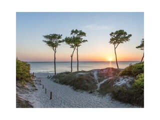 Ferienwohnung Deichblick Zingst