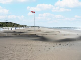 Chalet Bassevelde Omgeving 47