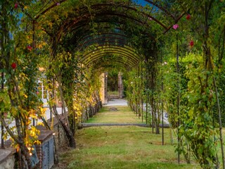 Villa Marlia Enregistrement extérieur 28