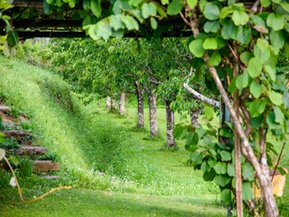 Villa Lucca Enregistrement extérieur 33