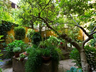 Appartamento Lucca Registrazione all'aperto 3