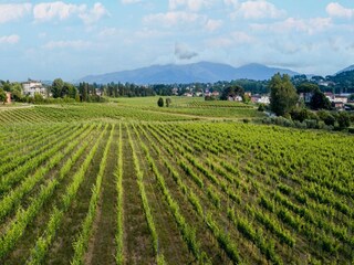 Appartement Marlia Buitenaudio-opname 11