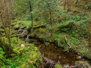 Villa San Giuliano Terme Grabación al aire libre 25