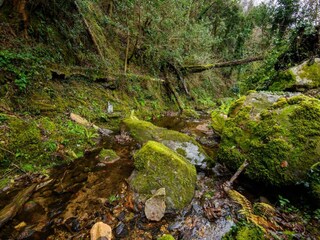 Villa San Giuliano Terme Buitenaudio-opname 27