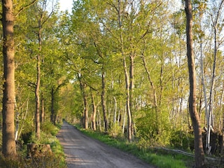 Vakantiehuis Opsterland Omgeving 22