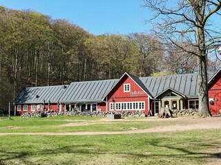 Ferienhaus Malmö  14