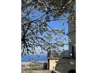 Garten und Panorama