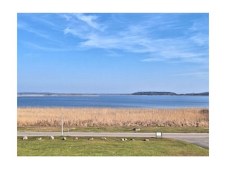 Seeblick