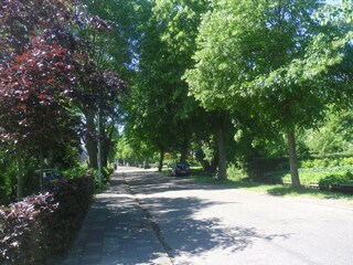 Appartamento Niedorp Ambiente 20