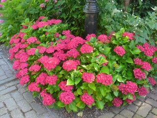 Appartamento Niedorp Registrazione all'aperto 11