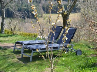 Landhaus Grimburg, Grimburg, Gartenliegen