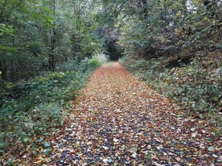 Landhaus Grimburg, Grimburg, Herbstweg