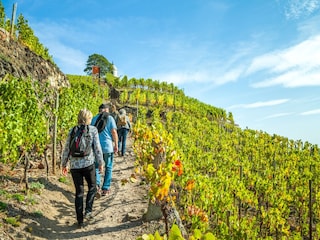 Wanderungen