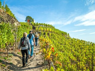 Wanderungen