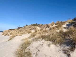 Ferienhaus Sommerodde  22