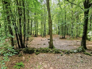 Ferienhaus Degeberga  36