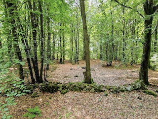 Ferienhaus Degeberga  40