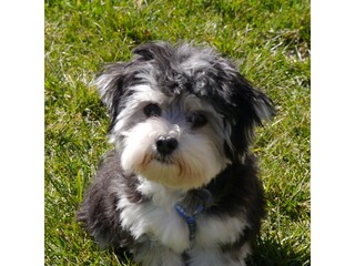 Appartamento per vacanze Tremosine sul Garda Registrazione all'aperto 11