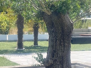 Casa de vacaciones Zutendaal Grabación al aire libre 2