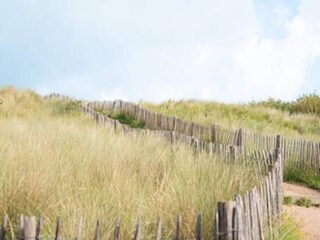 Apartment Blankenberge Umgebung 22