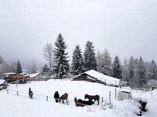 Ferienhaus Fiesch Umgebung 37