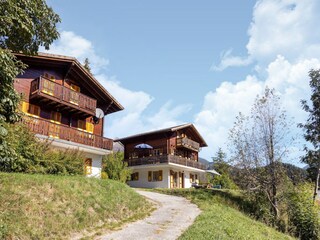 Ferienhaus Fiesch Außenaufnahme 2