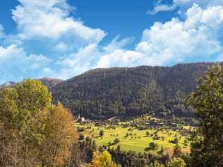 Ferienhaus Fiesch Umgebung 40