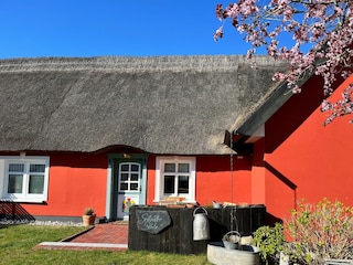 Holiday house Zempin Outdoor Recording 2