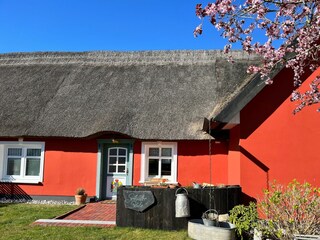 Ferienhaus Zempin Außenaufnahme 4
