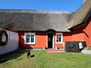 Ferienhaus Zempin Außenaufnahme 7