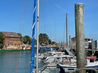 Hafen in Wyk: Ausflugsfahrten nach Helgoland oder Amrum