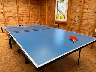 Tischtennisplatte