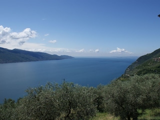 Seeblick