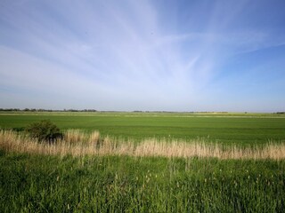 am Horizont die Sonne auf- und untergehen sehen