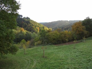 Blick vom Balkon