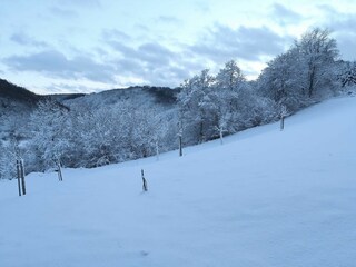 Blick vom Balkon