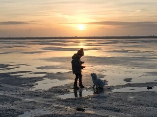 Hannes im Wattenmeer