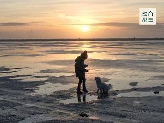 Hannes im Wattenmeer