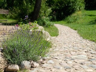 Der Weg zum Haus.