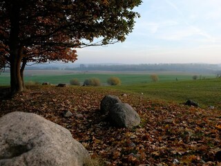 Blick vom Weinberg.