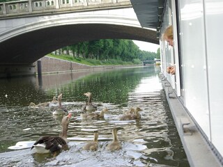 Auch die Enten wollen gefüttert werden
