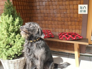 Hunde sind herzlich willkommen