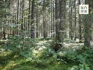 Waldbaden
